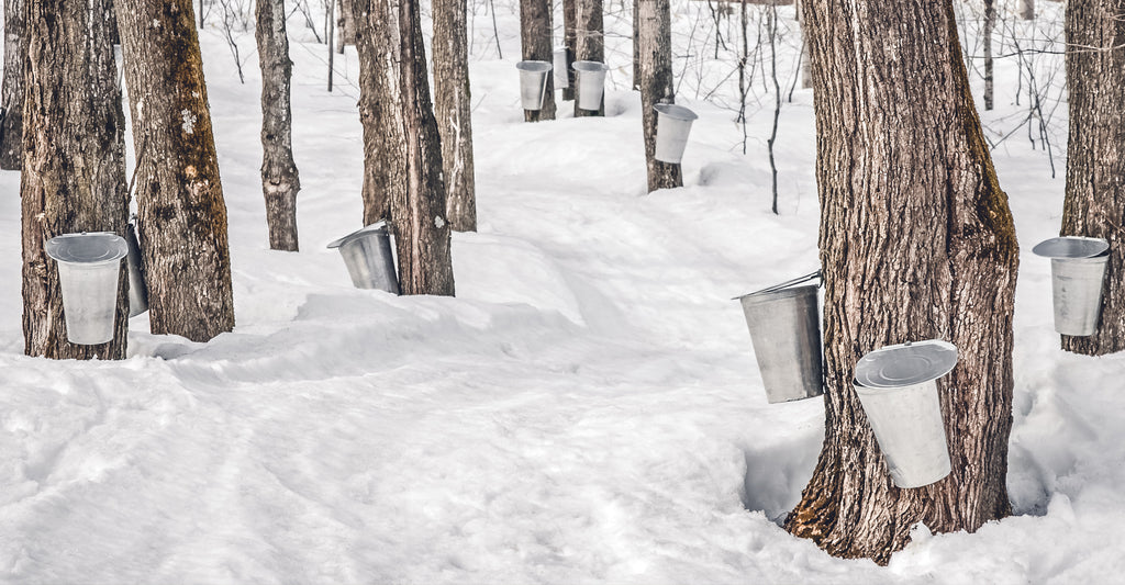 The Health Benefits of Maple Syrup A Natural Sweetener Brookfield