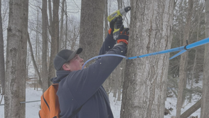 Meet the Faces Behind Brookfield Maple Farm